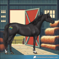 Horse Color:Smoky Black Tobiano 