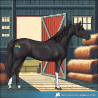 Horse Color:Smoky Black Tobiano 