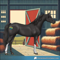 Horse Color:Smoky Black Tobiano 
