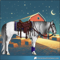 Horse Color:Gray Blue Roan Sabino Rabicano