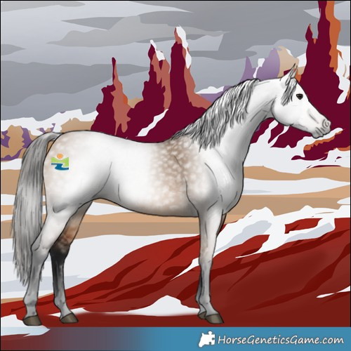 Horse Color:Gray Bay Dun 