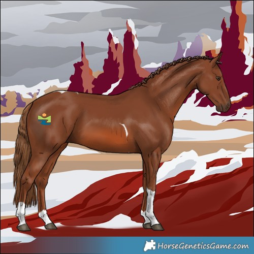 Horse Color:Chestnut Tobiano 