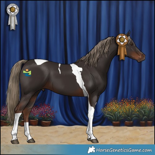Horse Color:Liver Chestnut Tobiano 