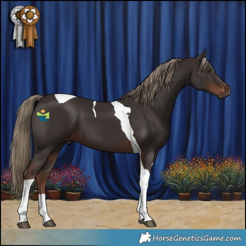 Horse Color:Liver Chestnut Tobiano 
