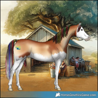 Horse Color:Painted Bay Onyx Splash 