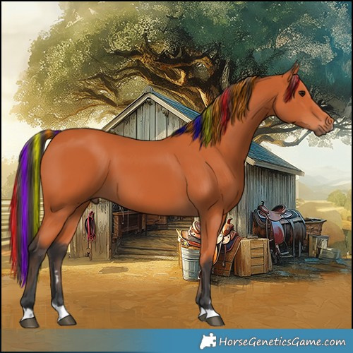 Horse Color:Painted Bay 