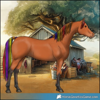 Horse Color:Painted Bay 