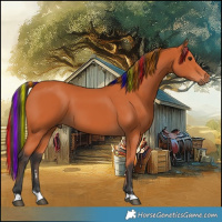 Horse Color:Painted Bay 