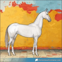 Horse Color:Liver Red Dun Appaloosa Brindle