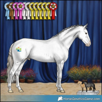 Horse Color:Liver Red Dun Varnish Brindle 
