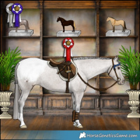Horse Color:Liver Red Dun Appaloosa Brindle 