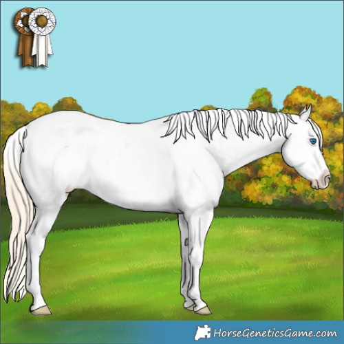 Horse Color:Palomino Ice Dun Splash Tobiano Appaloosa Rabicano 