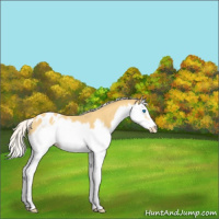 Horse Color:Silver Classic Cream Champagne Splash Frame Appaloosa 