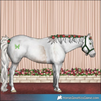 Horse Color:Gray Silver Amber Champagne Tobiano 
