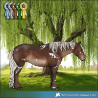 Horse Color:White Spotted Silver Brown