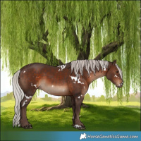 Horse Color:White Spotted Silver Brown 