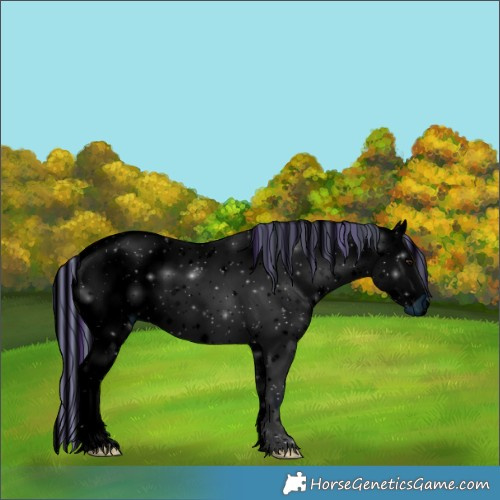 Horse Color:ERROR: UNKNOWN ANOMALY