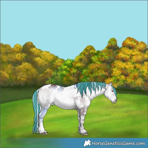 Horse Color:Painted White Spotted Chocolate Silver Brown Chinchilla Onyx 