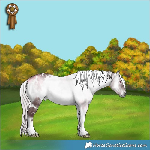 Horse Color:White Spotted Chocolate Silver Brown Chinchilla Onyx 