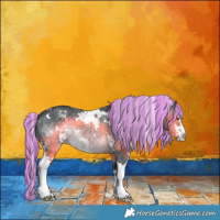 Horse Color:Painted White Spotted Silver Brown Chinchilla