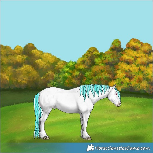 Horse Color:Painted White Spotted Silver Bay Chinchilla Ice Onyx Tobiano Appaloosa 
