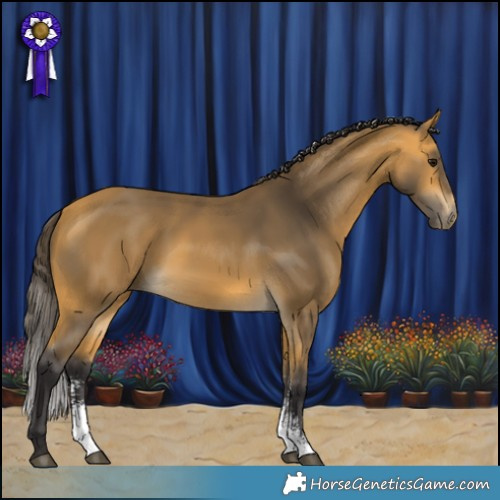 Horse Color:Buckskin Sabino 