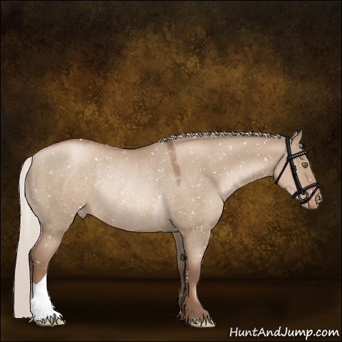 Horse Color:Silver Grullo Pearl Appaloosa Rabicano 