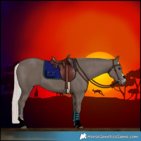 Horse Color:Silver Black 