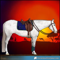Horse Color:Brown Ice Dun Varnish 