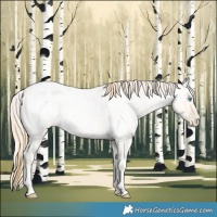 Horse Color:Buckskin Roan Pearl and Amber Cream Champagne Roan Pearl