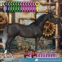 Horse Color:Brown 