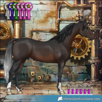 Horse Color:Brown 