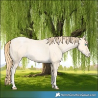 Horse Color:Buckskin Roan Pearl and Buckskin Roan Pearl
