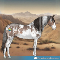 Horse Color:White Spotted Liver Chestnut Sabino 