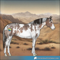 Horse Color:White Spotted Liver Chestnut Sabino 