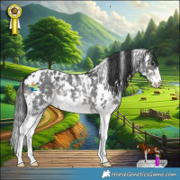 Horse Color:White Spotted Black Sabino 