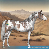 Horse Color:White Spotted Silver Brown Sabino 