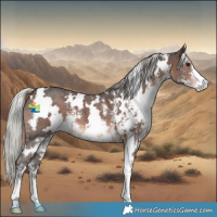 Horse Color:White Spotted Silver Brown Sabino
