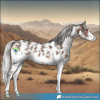 Horse Color:Silver Brown Sabino 