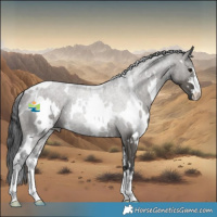 Horse Color:White Spotted Grullo 