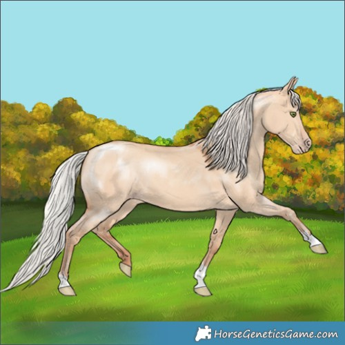 Horse Color:Silver Amber Champagne Dun 