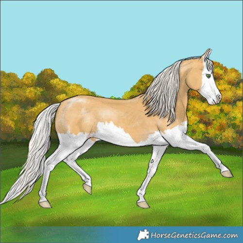 Horse Color:Silver Classic Cream Champagne Splash 