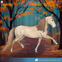 Horse Color:Red Dun Sabino 