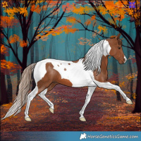Horse Color:Chestnut Tobiano 