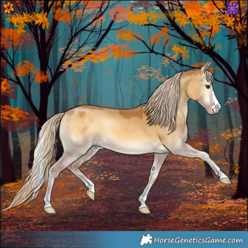 Horse Color:Palomino Onyx 
