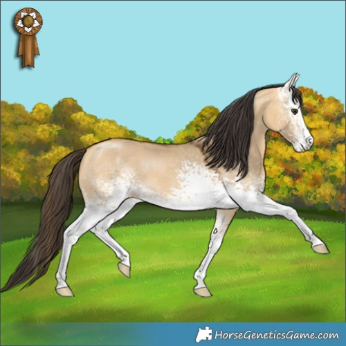 Horse Color:White Spotted Buckskin Dun 