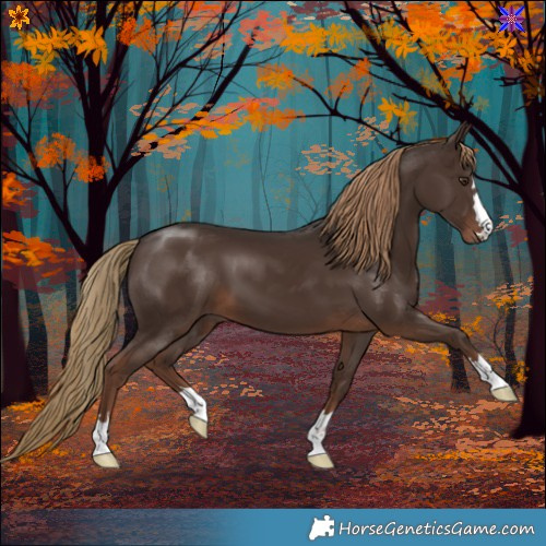 Horse Color:Liver Chestnut 