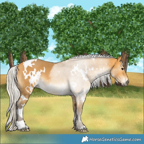 Horse Color:White Spotted Silver Buckskin 