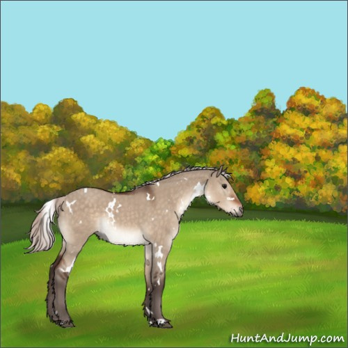 Horse Color:White Spotted Silver Brown Dun 