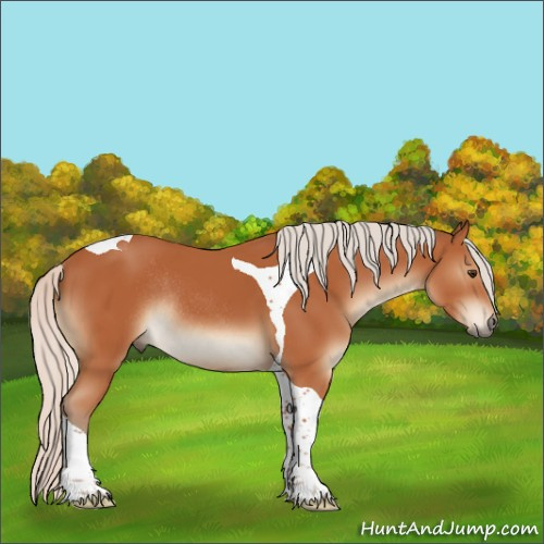 Horse Color:Silver Bay Tobiano Rabicano 